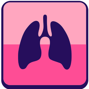 Lung Network