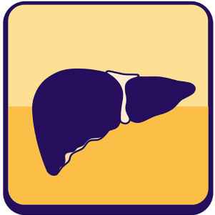 Liver Network