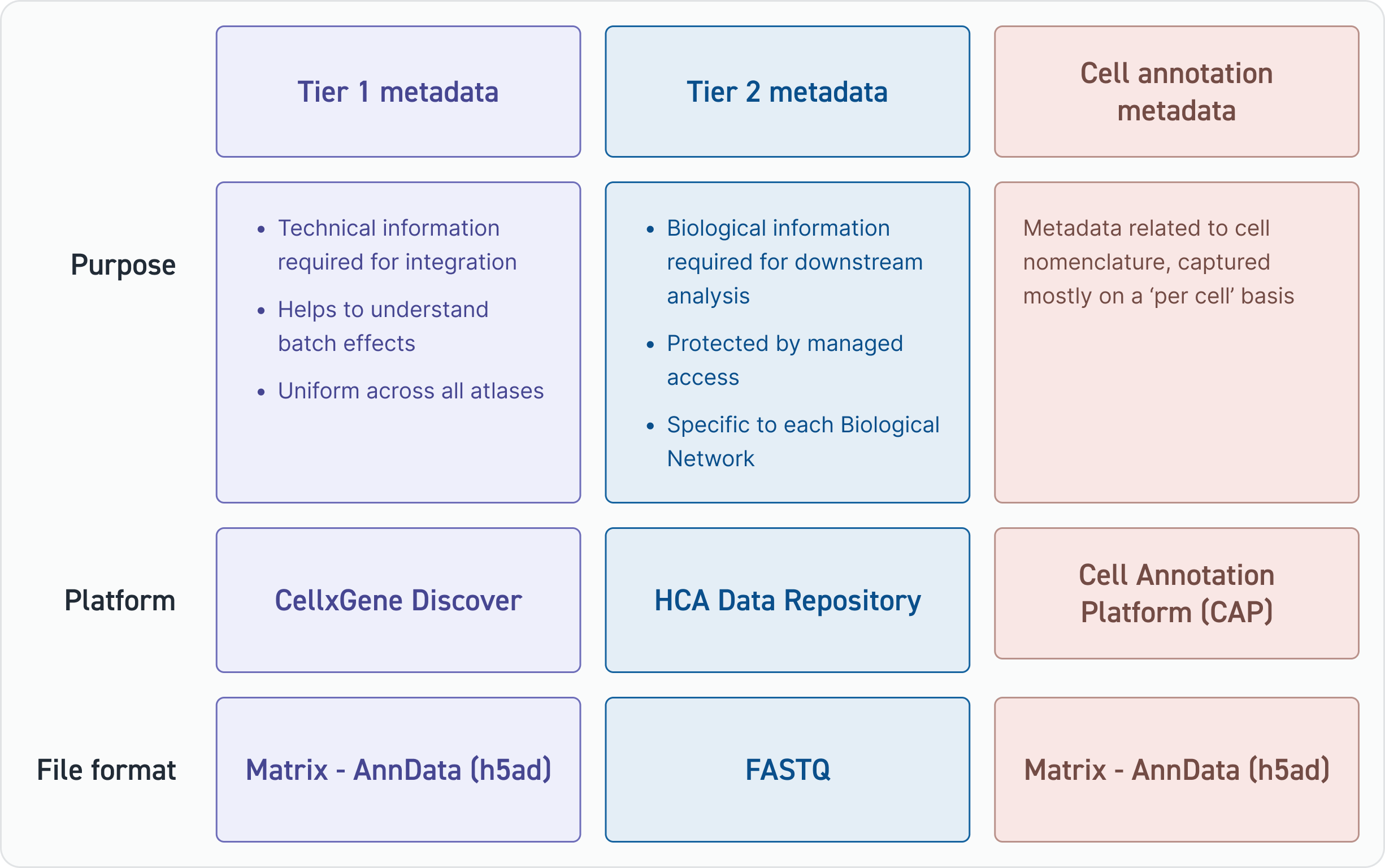 Metadata schema