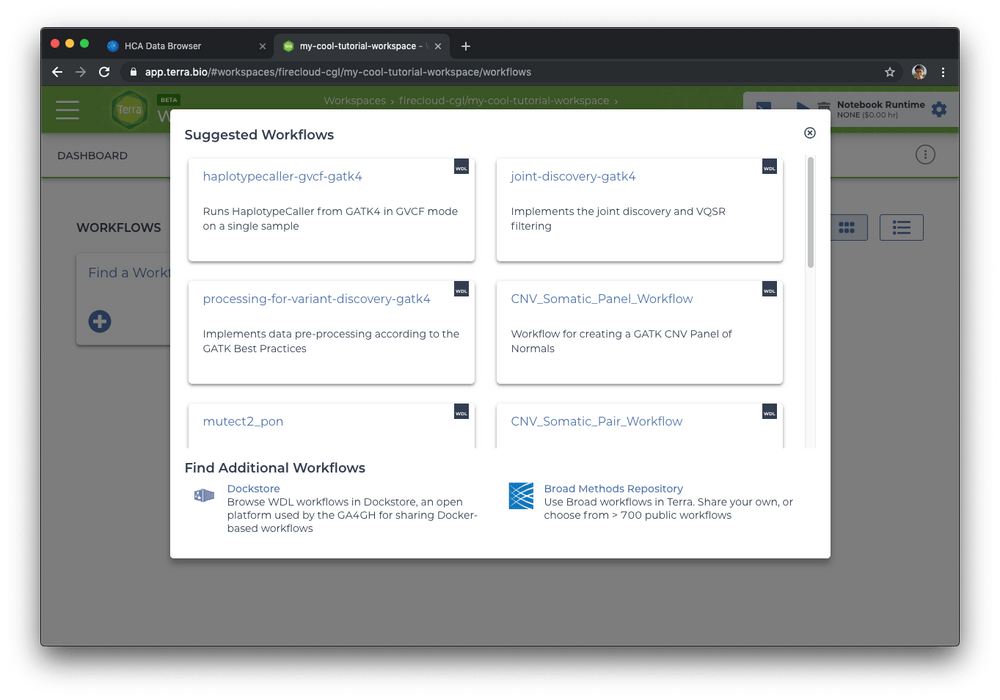 Terra page showing workflows that can be added to workspace